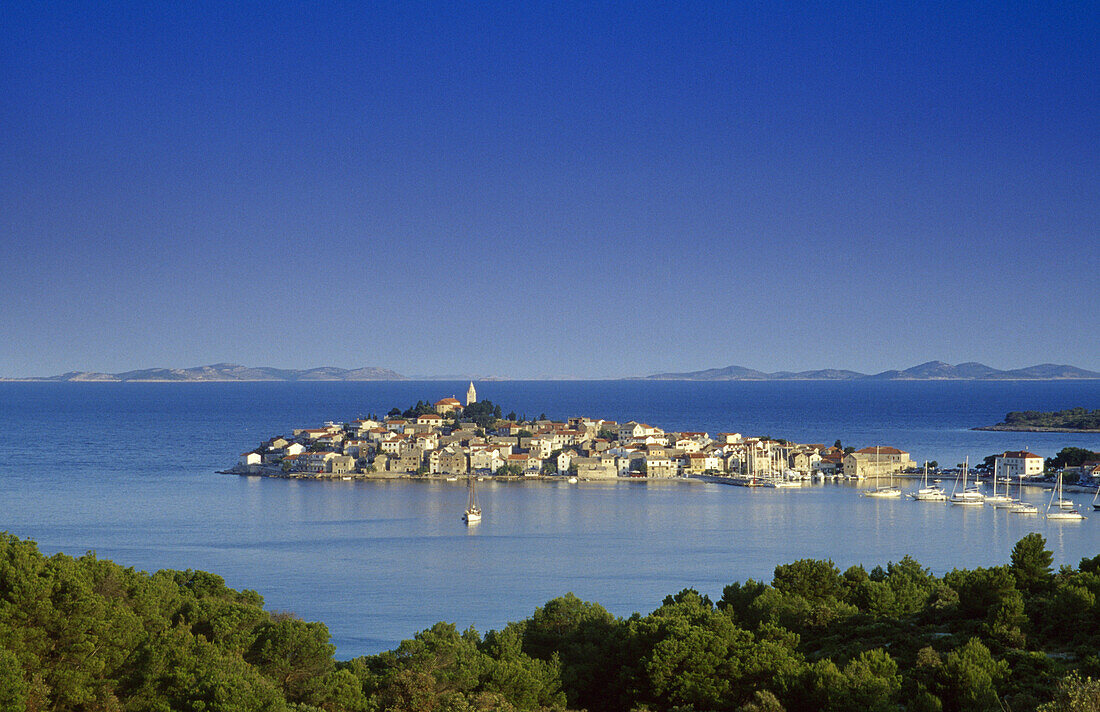 Blick auf Primosten unter blauem Himmel, Kroatische Adriaküste, Dalmatien, Kroatien, Europa