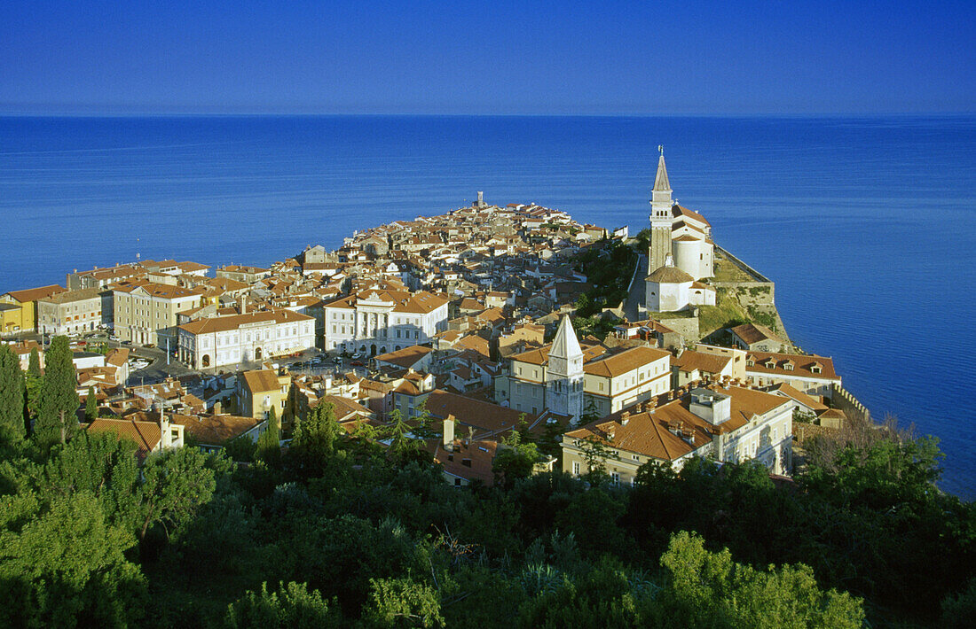 Blick auf die Altstadt von Piran an der Küste, Istrien, Adriaküste, Slowenien, Europa
