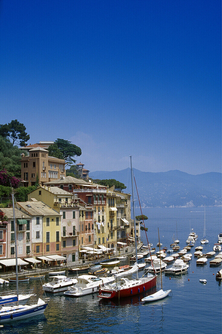 Jachthafen unter blauem Himmel, Portofino, Italienische Riviera, Ligurien, Italien, Europa
