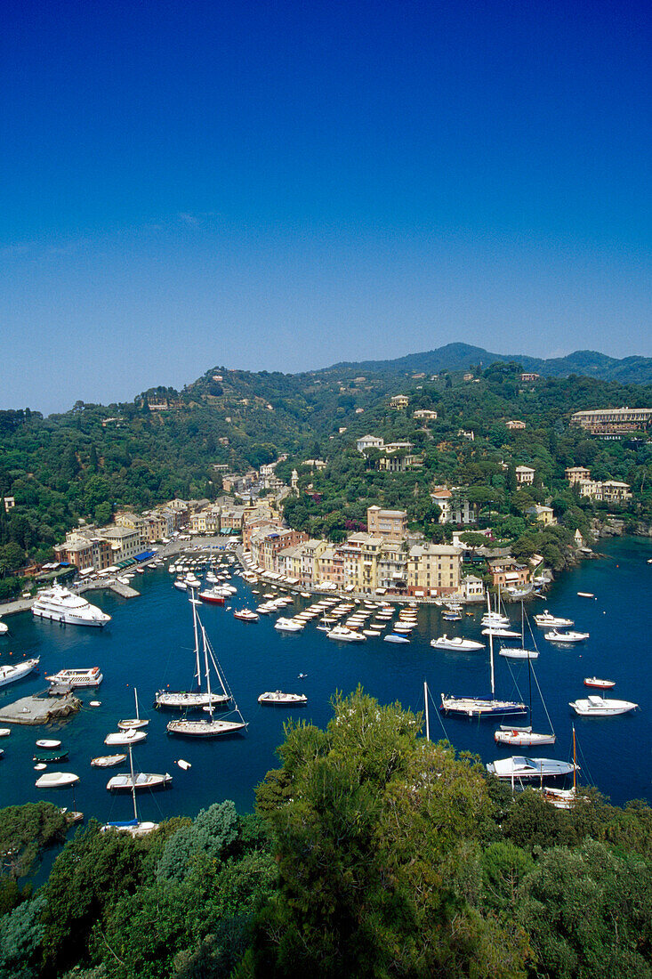 Blick auf den Jachthafen unter blauem Himmel, Portofino, Italienische Riviera, Ligurien, Italien, Europa