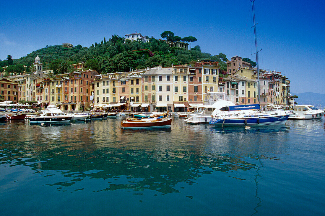 Motorboote im Jachthafen unter blauem Himmel, Portofino, Italienische Riviera, Ligurien, Italien, Europa