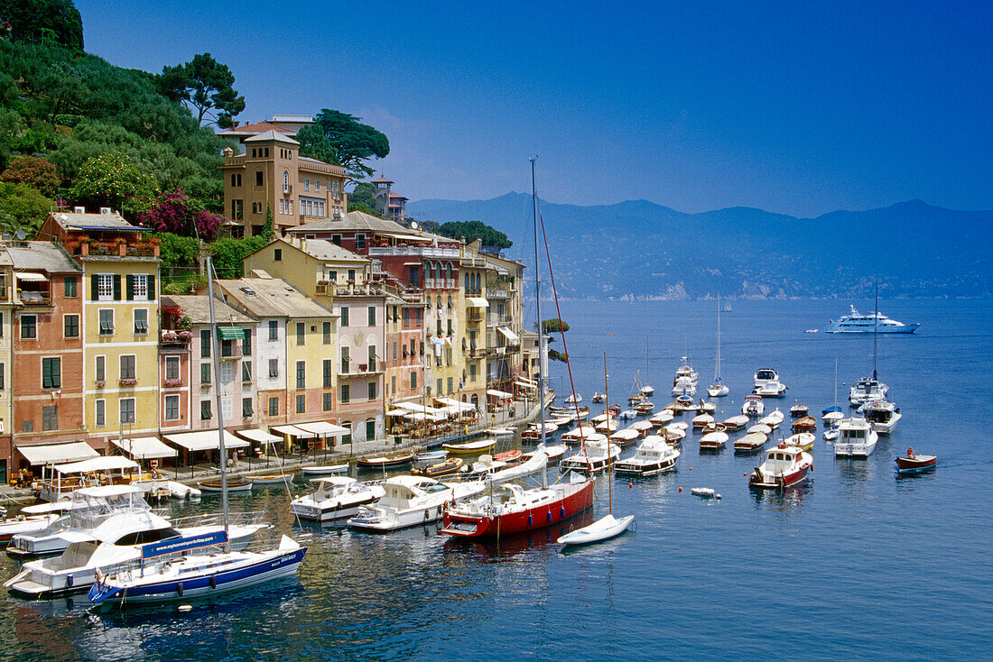 Motorboote im Jachthafen im Sonnenlicht, Portofino, Italienische Riviera, Ligurien, Italien, Europa