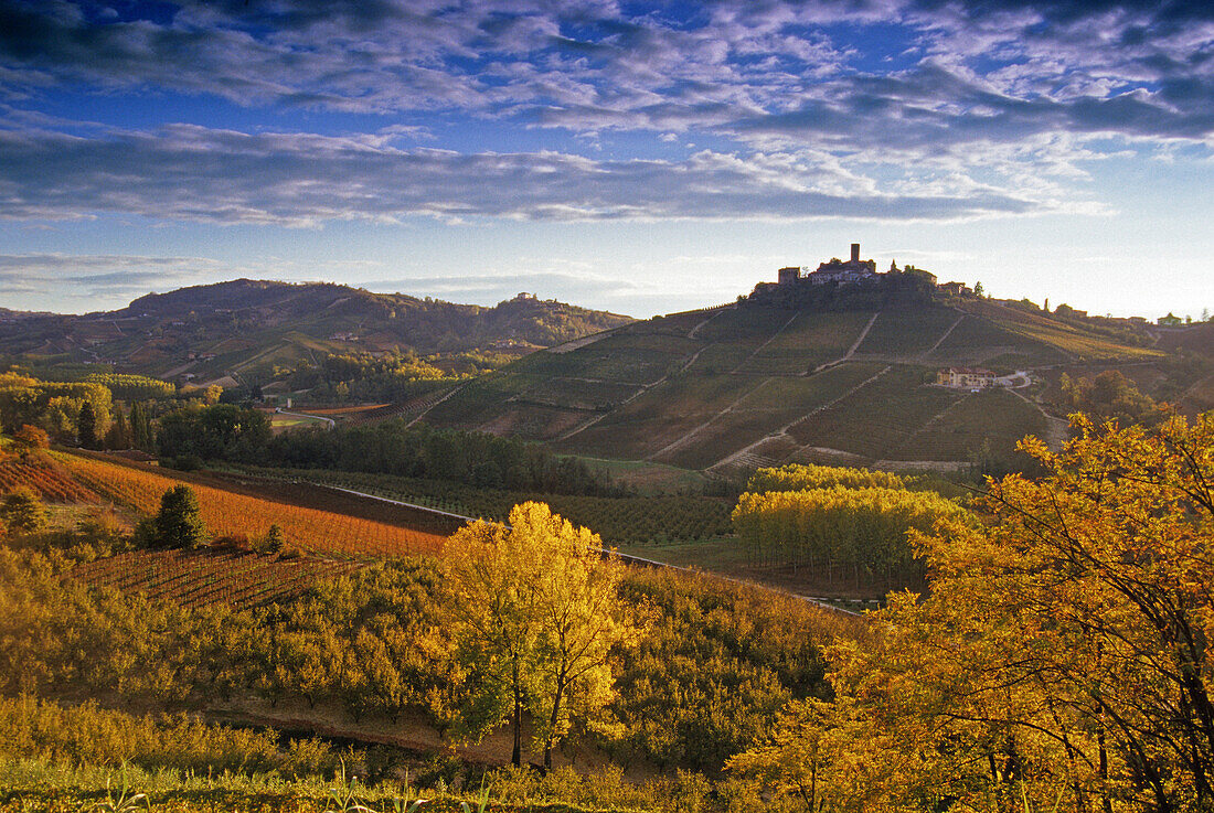 Weinberge vor Castiglione Falletto am Abend, Piemont, Italien, Europa