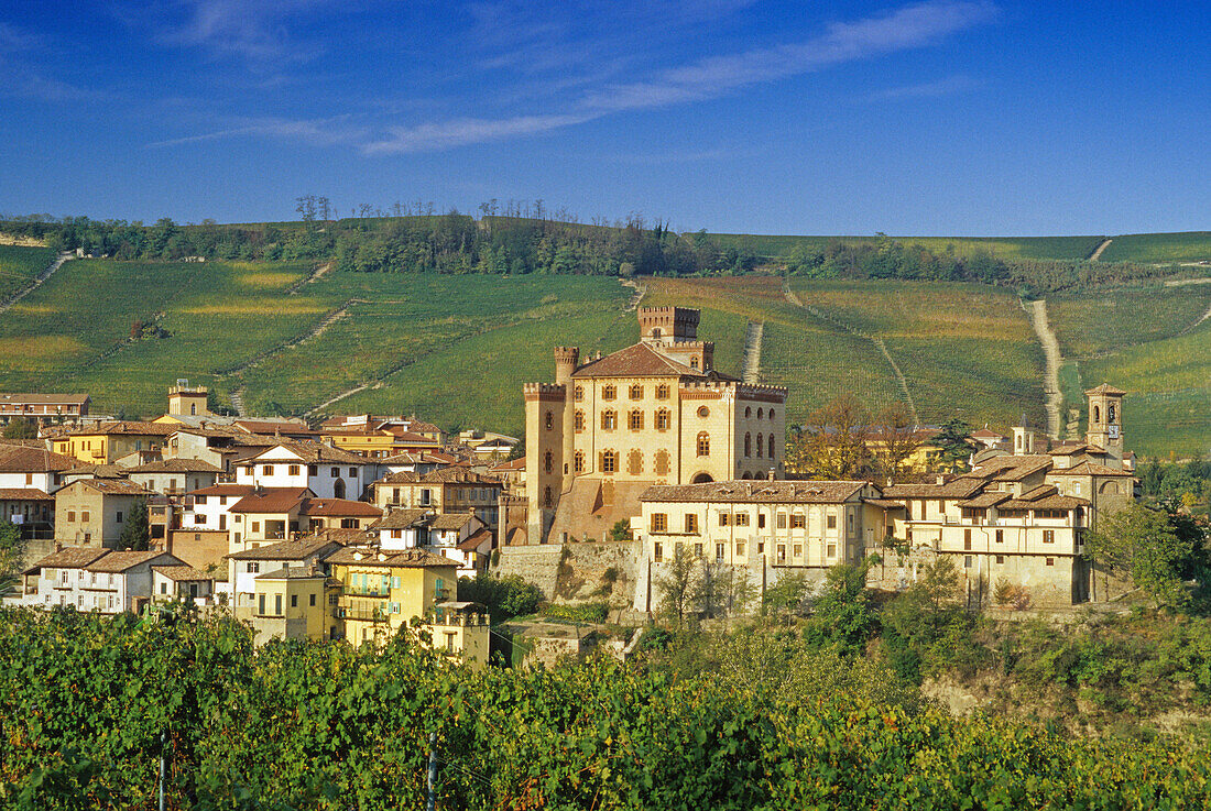 Castle on a hill in the sunlight, Barolo, Piedmont, Italy, Europe