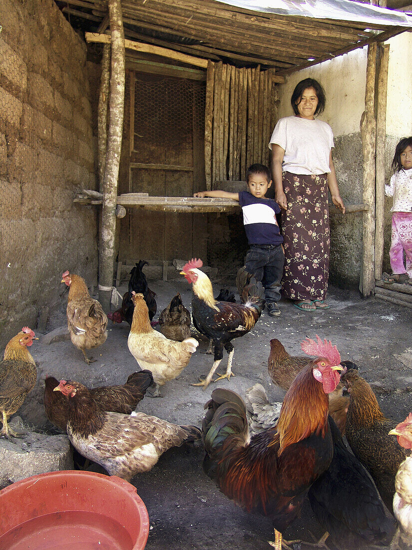 HONDURAS  Single mother and her children with their chickens  These were provided by a project to raise nutrition levels in the rural areas  Marcala