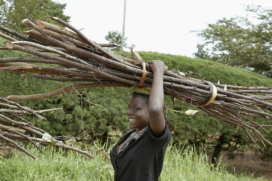 UGANDA  Girls carrying firewood on their heads, Mukono District