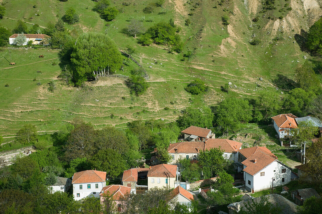 Macedonia. Pelister National Park. Maloviste Village. Old Vlach mountain village-houses