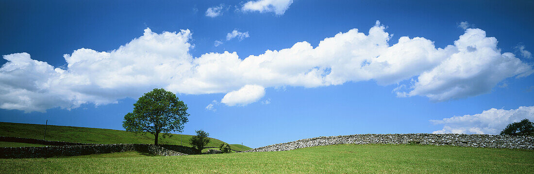 Swaledale, Yorkshire Dales, UK