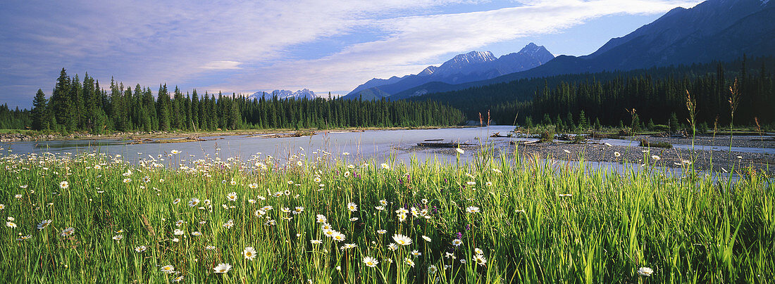 Rockies, Canada