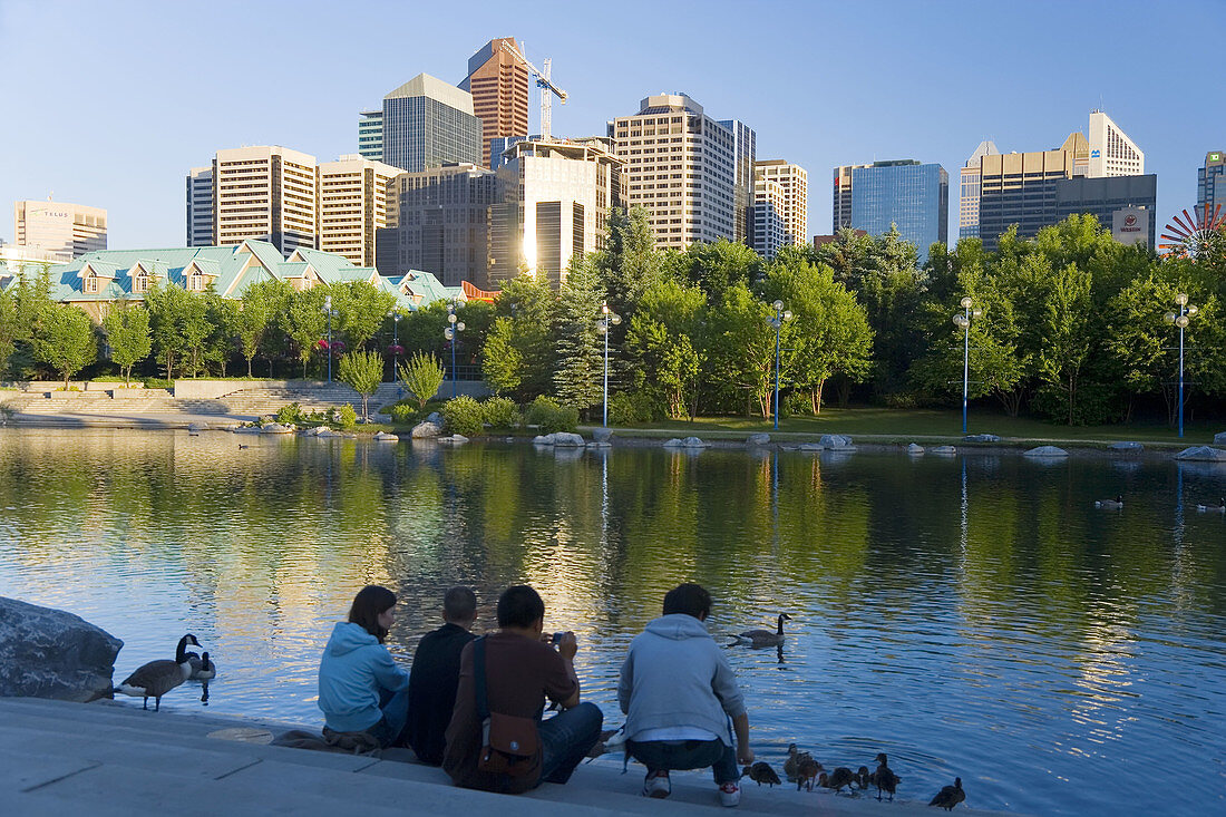 Lake, geese & skyline, Calgary, Alberta, Canada