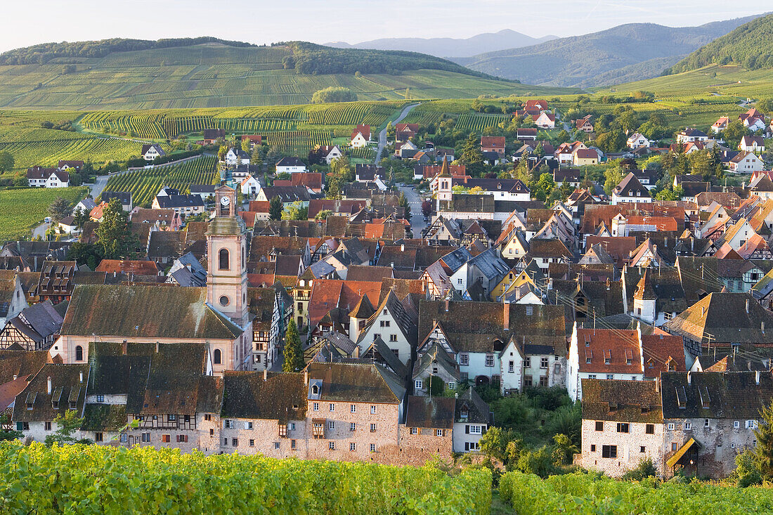 Old wine town of Riquewihr & vineyard, Alsace, France