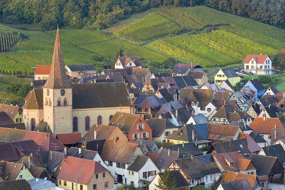 Niedermorschwihr, Alsace, France