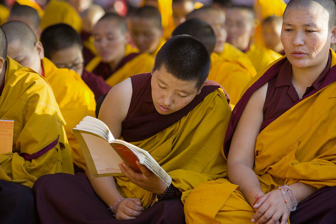 Monks attending buddhist teachings, Bodhgaya. Gaya district, Bihar, India