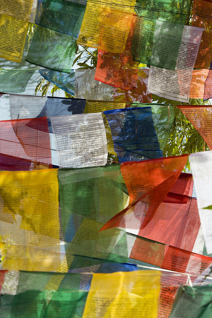 Buddhist prayer flags, Bodhgaya. Gaya district, Bihar, India