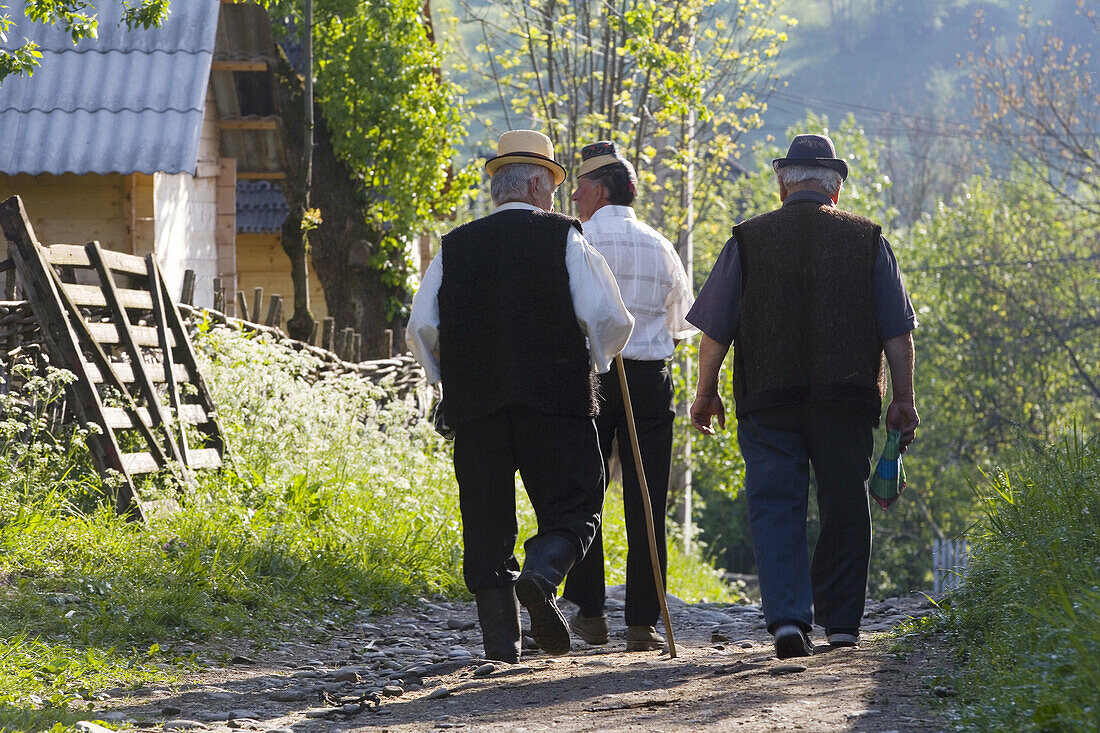 Three men walking in village, Breb, Maramures, Romania