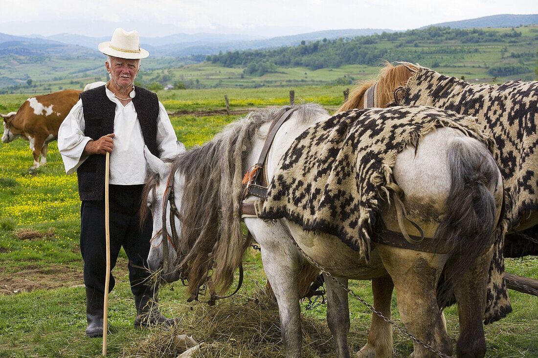Man at market with horses, Sighetu Marmatiei, Maramures, Romania