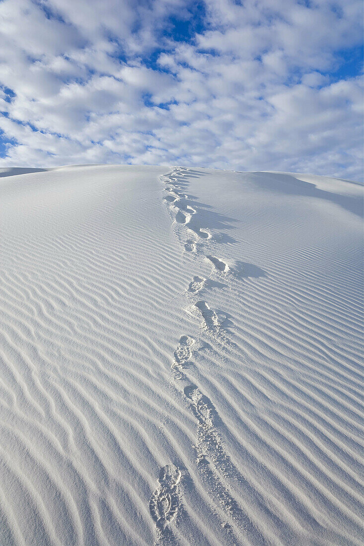 White Sands National Monument, New Mexico, USA. White gypsum sand dunes & footprints