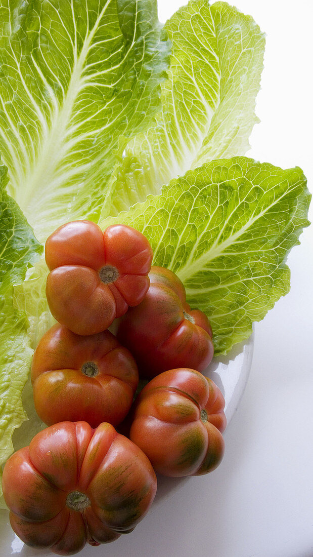 Tomatoes Raf and lettuce