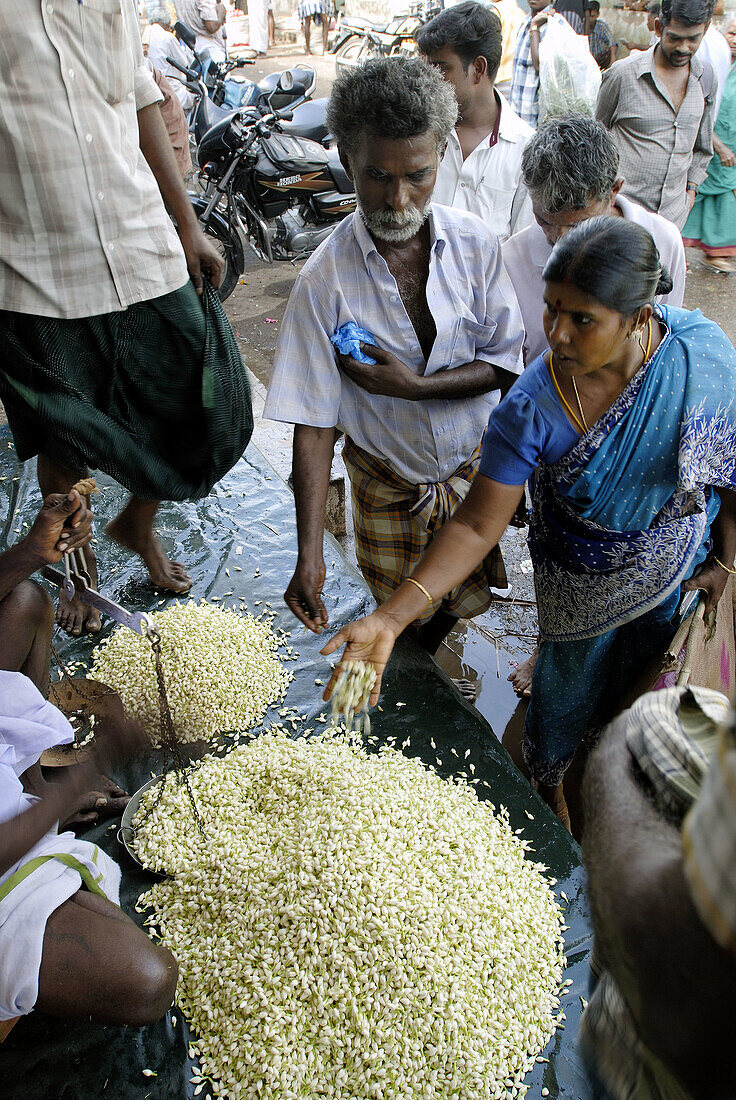 Madurai is well known for its fragrant Jasmine flowers. Jasmine is known as Malli or Malligai in Tamil. Jasmine is an important horticultural produce in Tamil Nadu. The buds are transported every day to major cities in India and Singapore