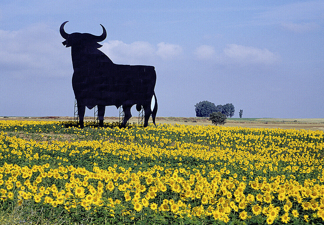 Der Osborne-Stier Sevilla Provinz Andalusien Spanien