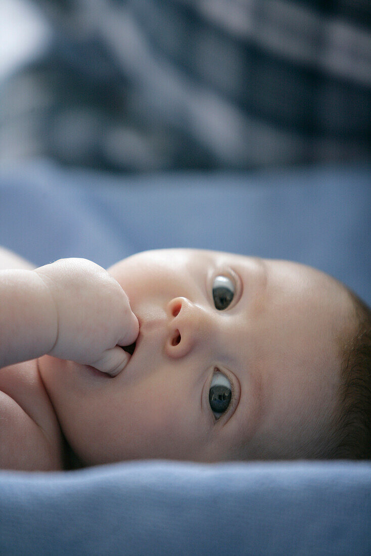 Baby girl (8 month) looking at camera, Vienna, Austria