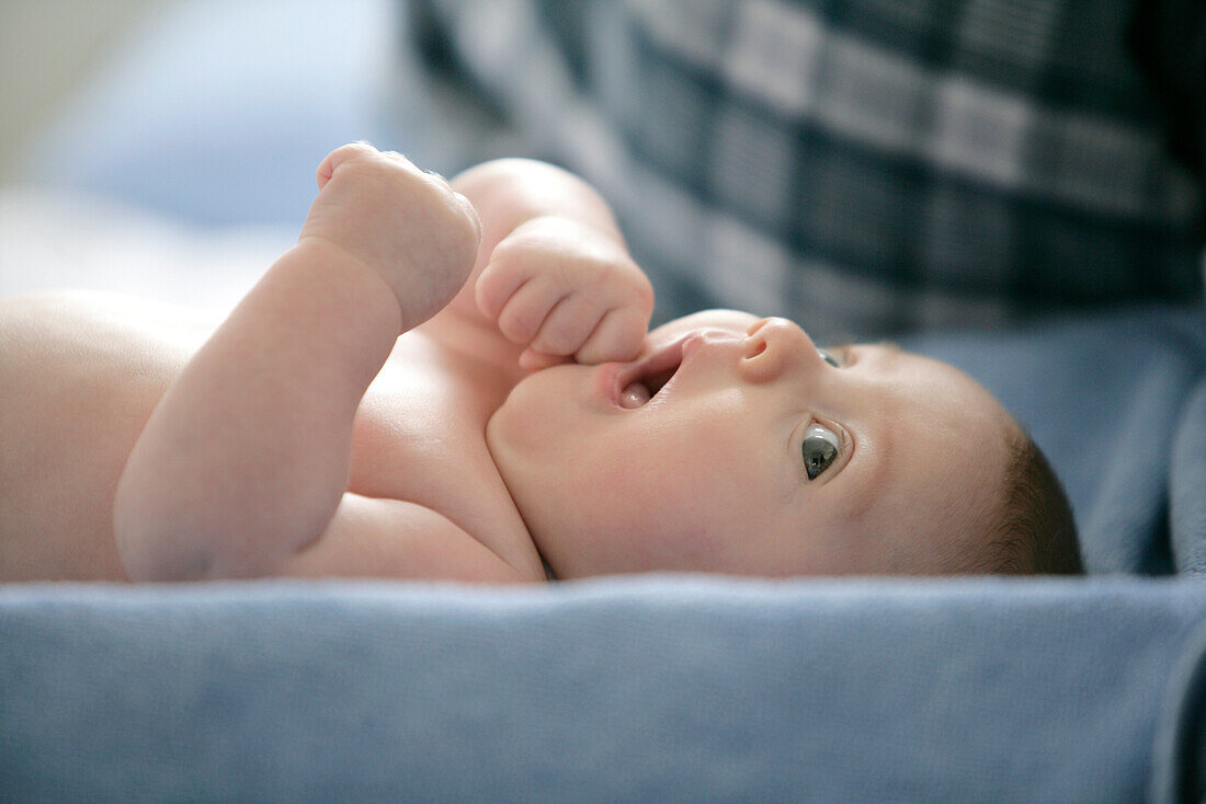 Baby (8 Monate) liegt auf dem Rücken, Wien, Österreich