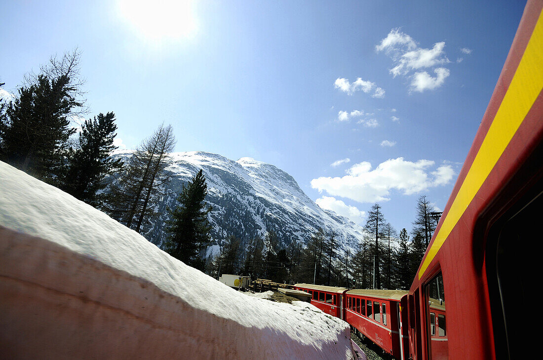 Schmalspurbahn fährt durch Morteratschtal, Pontresina, Engadin, Graubünden, Schweiz