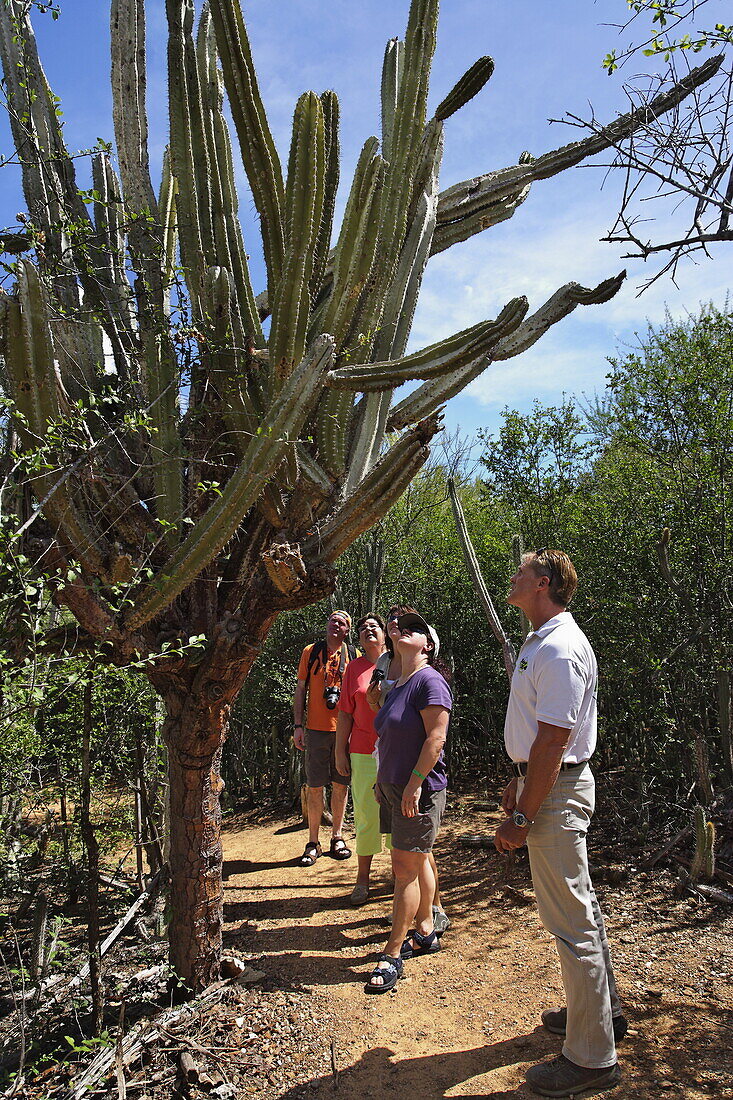 Tourists visiting Macanao peninsula, Isla Margarita, Nueva Esparta, Venezuela