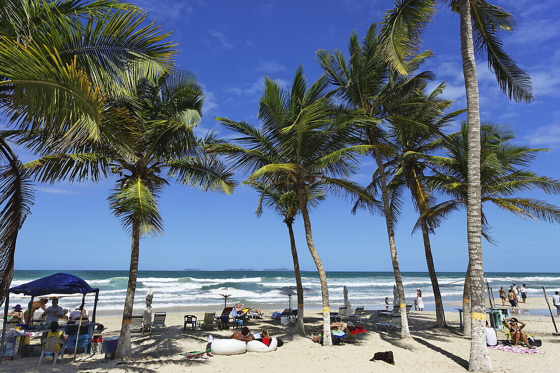 Palm trees at Playa El Aqua, Isla Margarita, Nueva Esparta, Venezuela