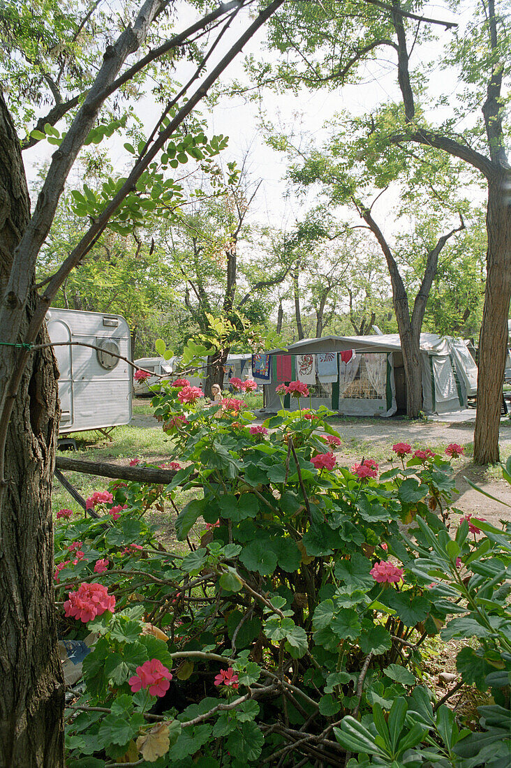 Campingplatz mit Zelten und Wohnwagen, Castellabate, Cilento, Italien