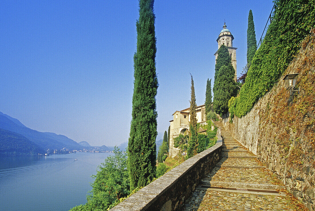 Cypresses at the path to the church of Morcote, view to the Lago di Lugano, Ticino, Switzerland, Europe