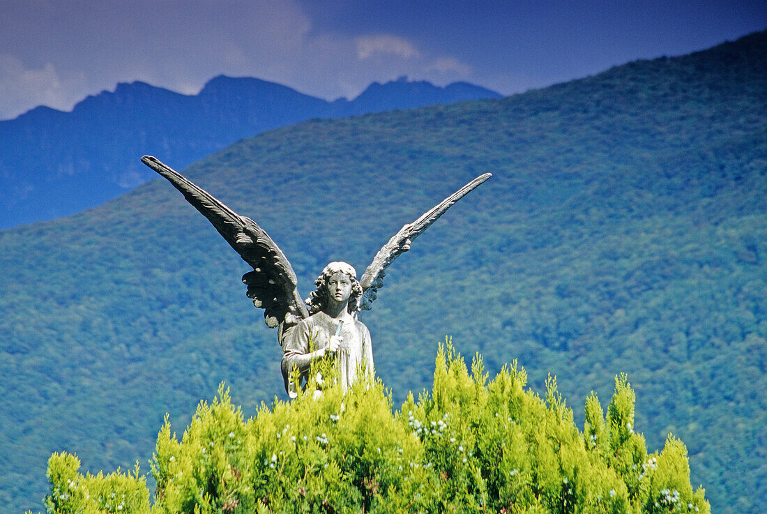 Engel hinter einer Hecke, Morcote, Tessin, Schweiz, Europa