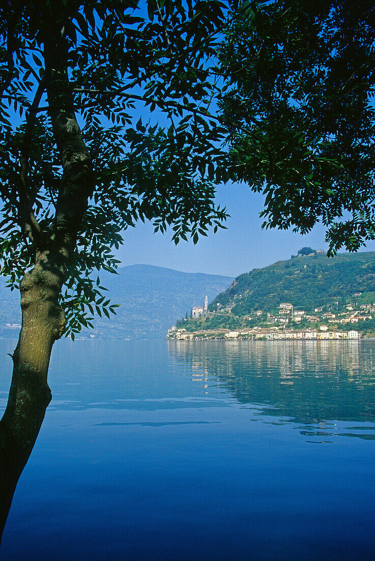 Blick über den Lago di Lugano auf das Dorf Morcote, Tessin, Schweiz, Europa