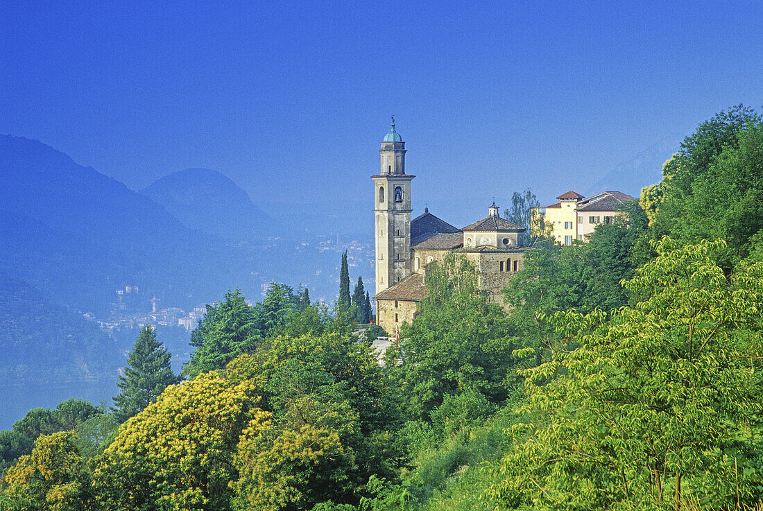 Die Kirche im Dorf Morcote unter blauem Himmel, Tessin, Schweiz, Europa