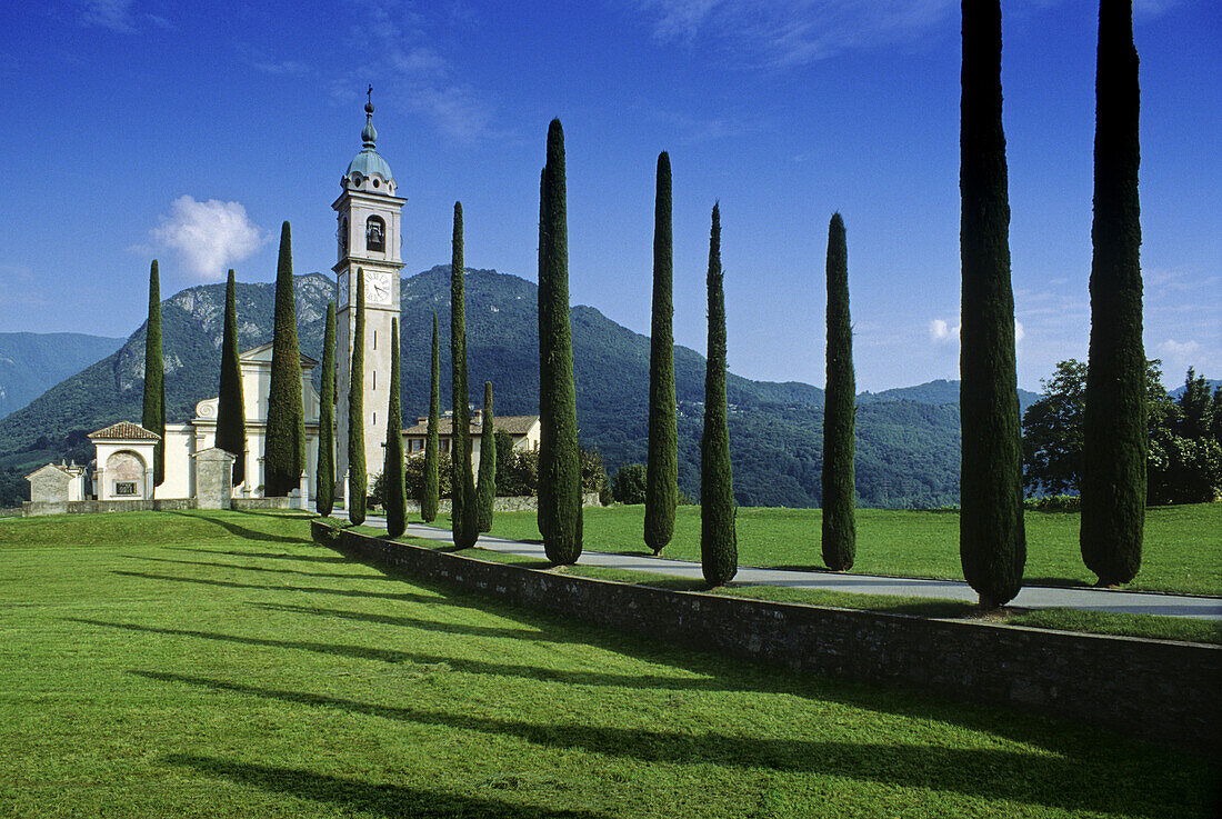 Alley of cypresses to the church Sant´Abbondio under blue sky, Ticino, Switzerland, Europe