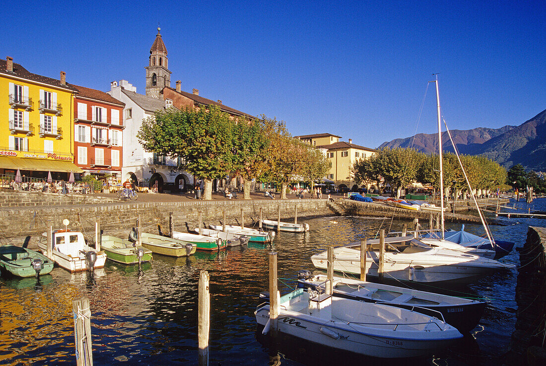 Boote im Hafen unter blauem Himmel, Ascona, Lago Maggiore, Tessin, Schweiz, Europa