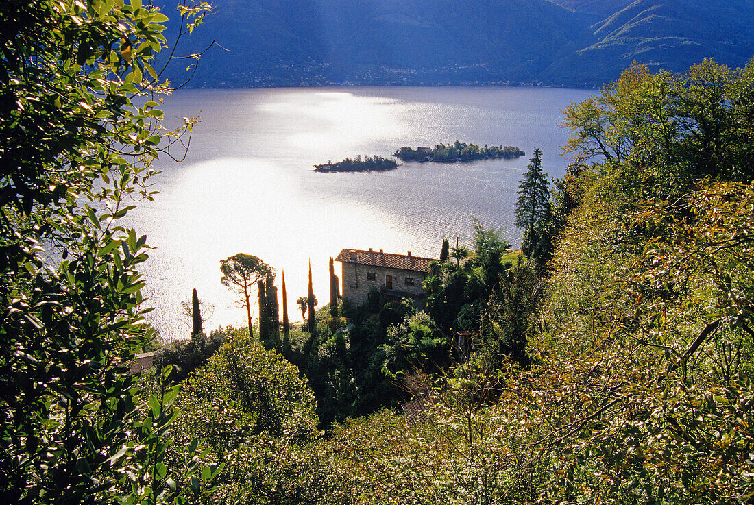 Blick auf ein Landhaus und die Brissago Inseln im Sonnenlicht, Lago Maggiore, Tessin, Schweiz, Europa