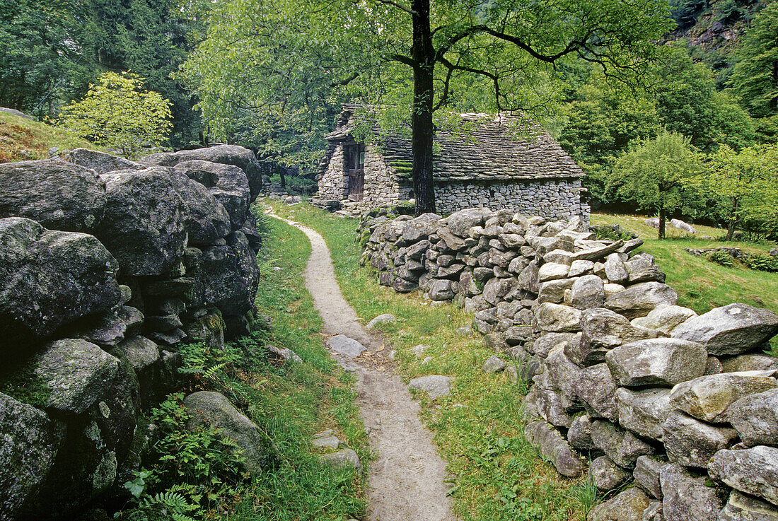 Menschenleerer Weg zwischen Steinmauern, Valle Verzasca, Tessin, Schweiz, Europa