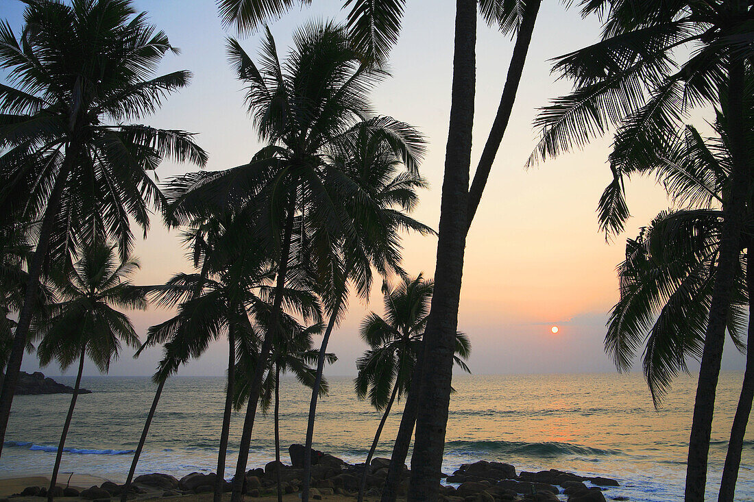 Sunset and palms at Kovalam beach, India
