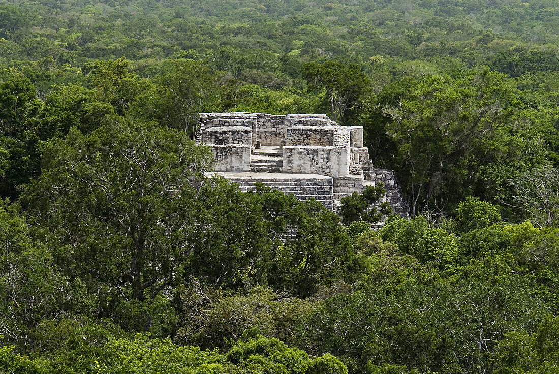 Mayan ruins. Calakmul. Campeche, Mexico
