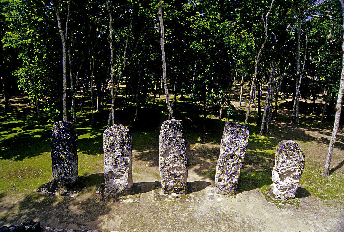 Mayan ruins. Calakmul. Campeche, Mexico