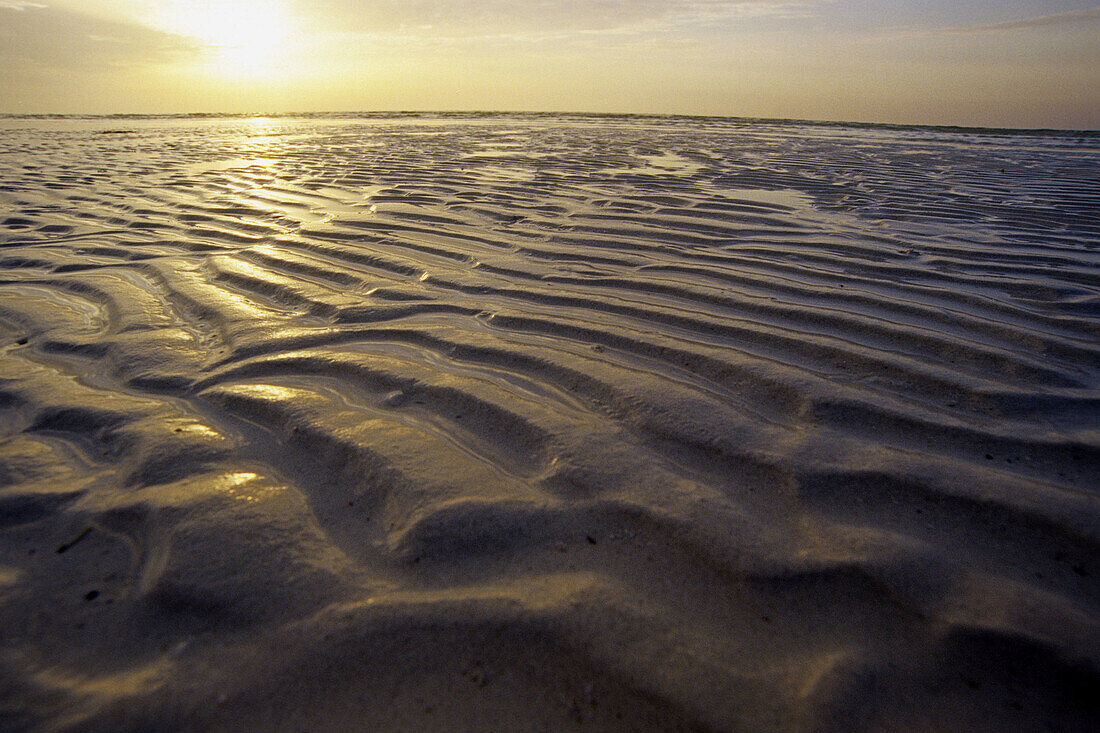 Isla Holbox, Quintana Roo, Mexico