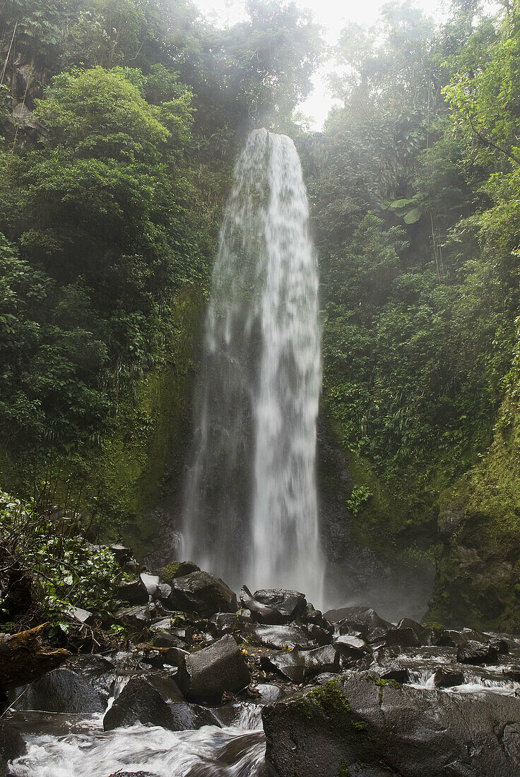 Waterfall, Los Tuxtlas. Veracruz, Mexico