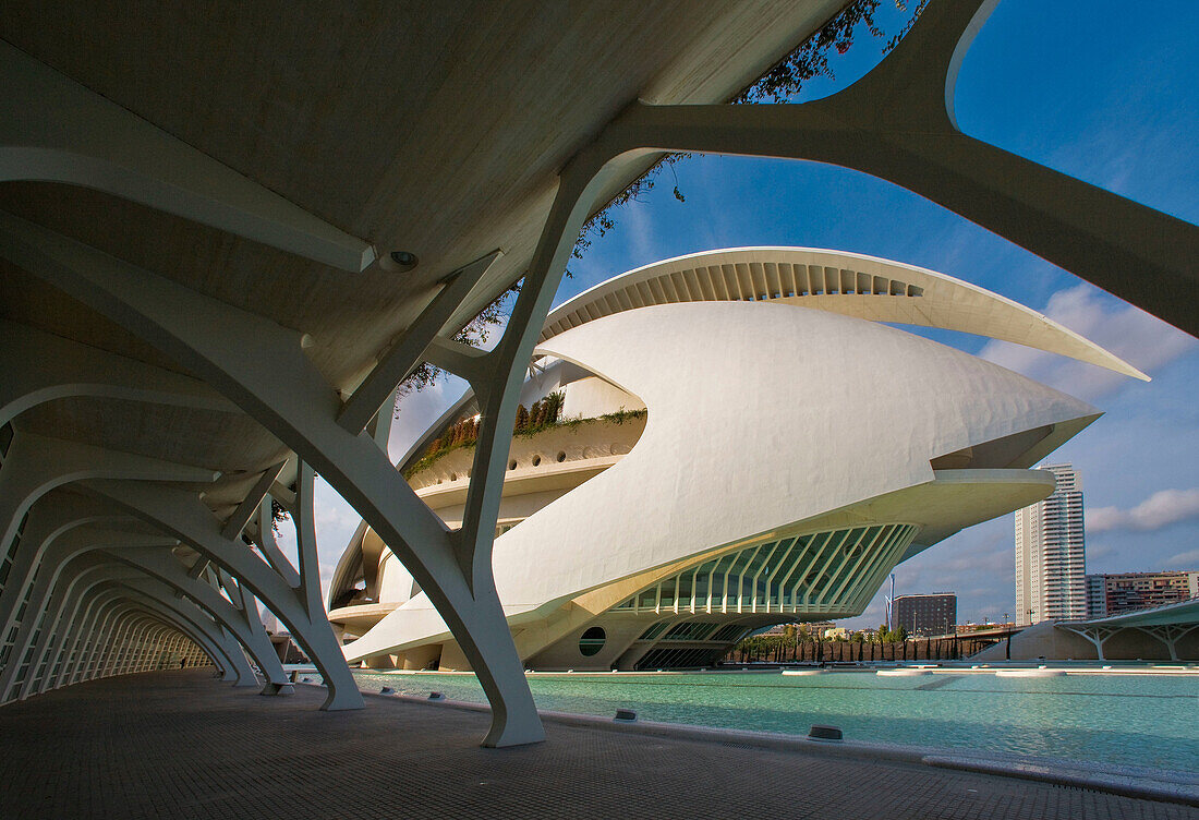 City of Arts and Sciences by S. Calatrava,  Valencia. Comunidad Valenciana,  Spain