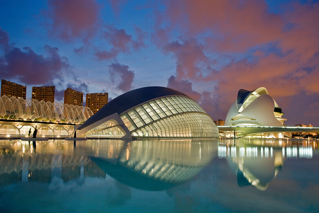 City of Arts and Sciences by S. Calatrava,  Valencia. Comunidad Valenciana,  Spain