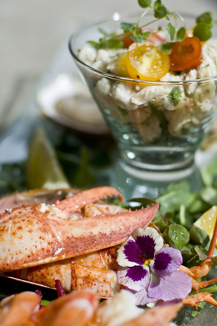 Fish and seafood dish at Aix Cuisine du Terroir restaurant,  Montreal. Quebec,  Canada