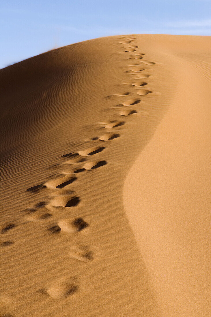 Abstract, Africa, Beauty, Desert, Dry, Dune, Dunes, Foot, Geography, Landscape, Lines, Natural, Nature, Outdoors, Pattern, Prints, Riple, Riples, Sand, Shadow, Shape, Vertical, A75-731139, agefotostock