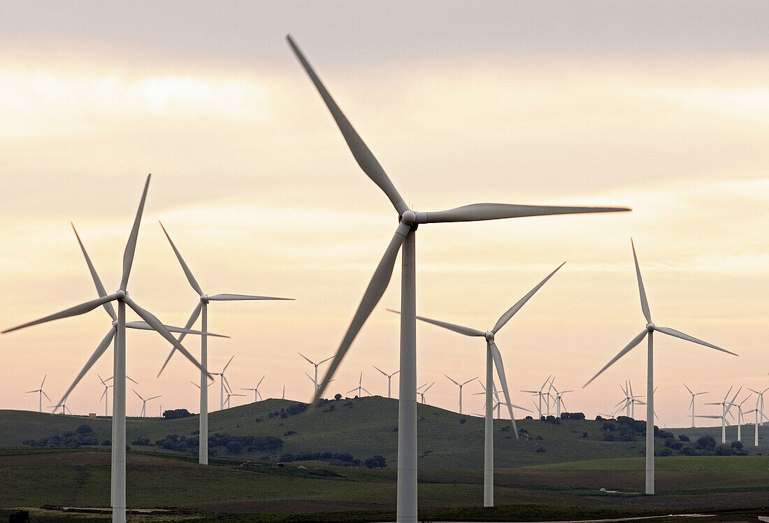 Aero, Clean, Color, Colour, Ecological, Ecology, Electricity, Energy, Field, Future, Generator, Green, Rotation, Turbine, A75-873967, agefotostock 