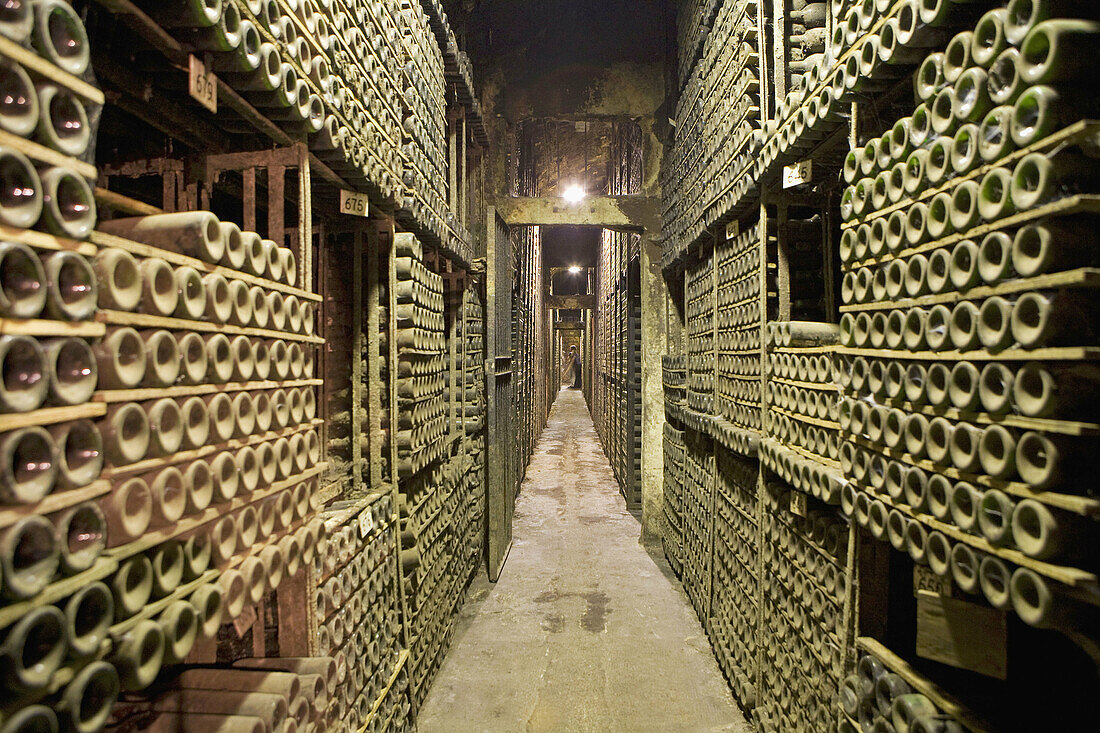 Marques de Riscal wine cellar,  Elciego,  Rioja alavesa. Alava,  Basque Country,  Spain