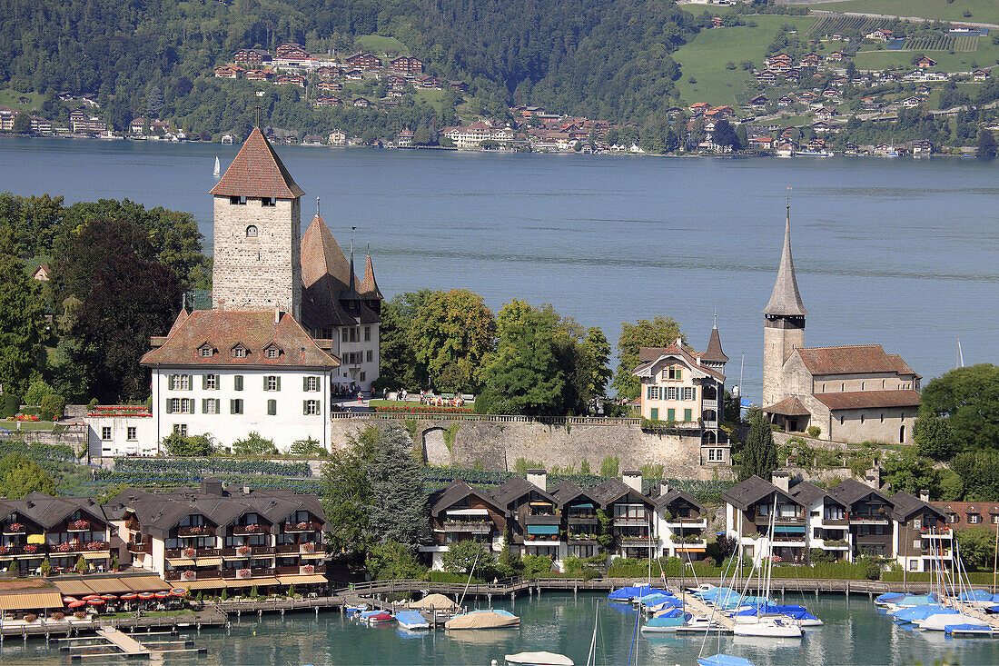 palais Spiez an the church of the holy Kolumban at Lake Thun,  Niedersimmental,  canton Bern,  Switzerland